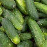 Cucumber