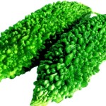 Karela
